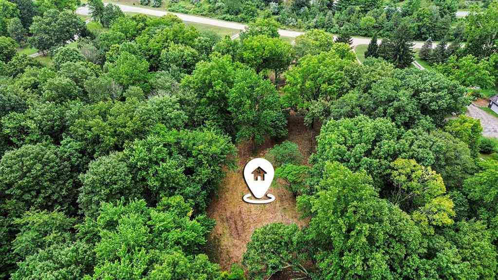 Vacant Land For Sale - 4239 Lake Chapin Bluff  <br/> Berrien Springs, MI 49103