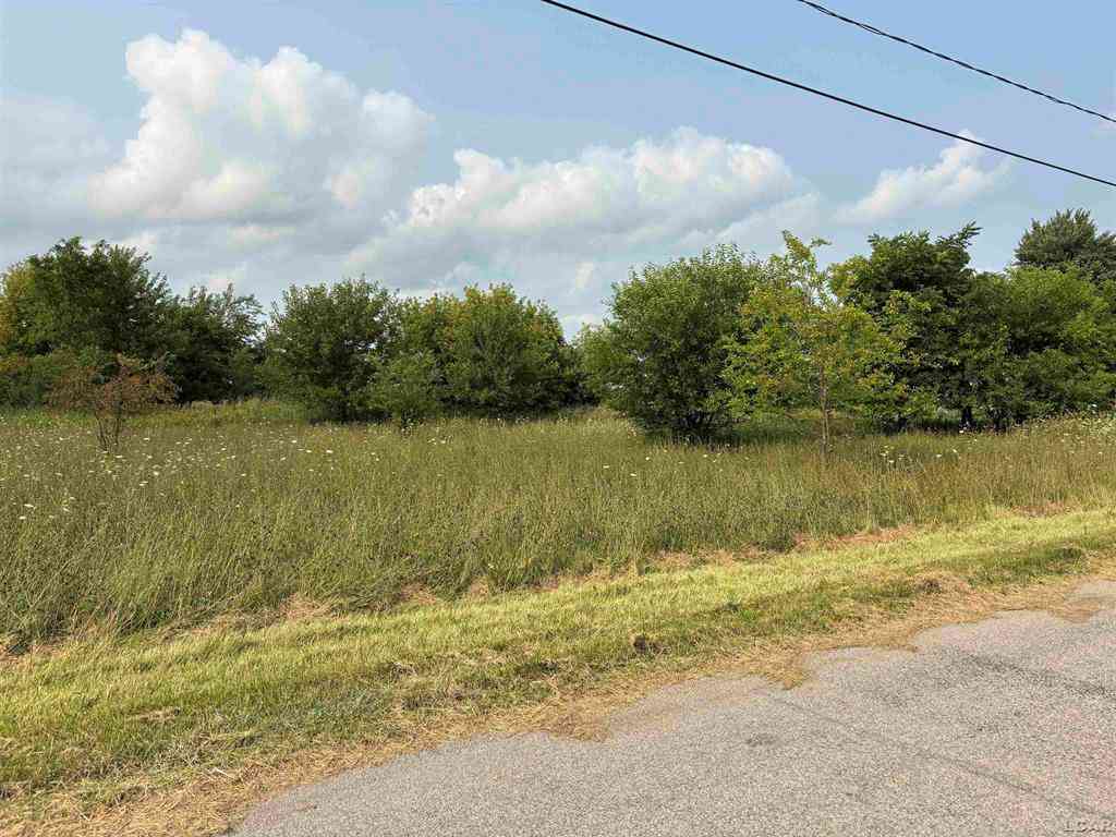 Vacant Land For Sale - 1370 Ogden Street <br/> Jasper, MI 49248