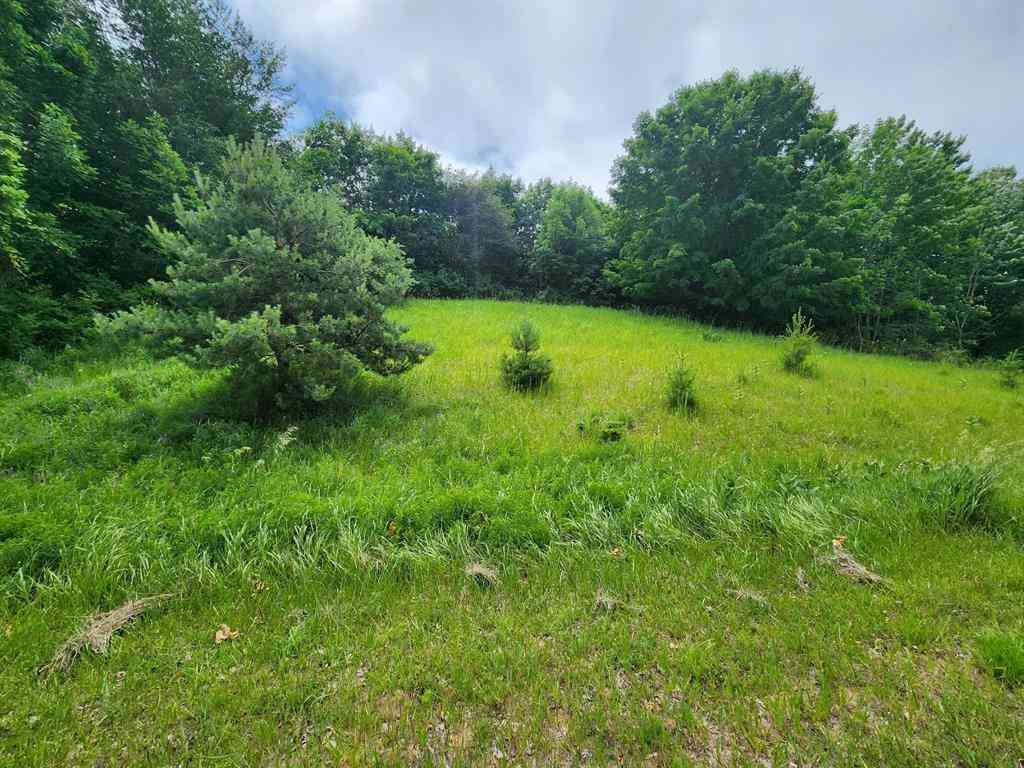 Vacant Land For Sale - 000 Deer Ridge Trail <br/> Benzie County, Beulah, MI 49617
