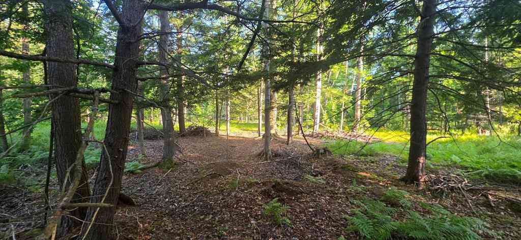 Vacant Land For Sale - 10 ACRES E Free Soil Road <br/> Free Soil, MI 49411