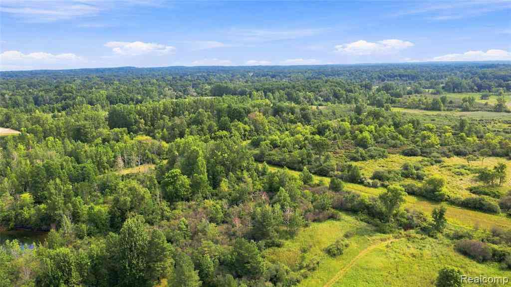 Vacant Land For Sale - 1705 S Sashabaw Road <br/> Ortonville, MI 48462