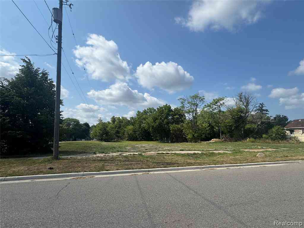 Vacant Land For Sale - 3037 Flushing Road <br/> Flint, MI 48504