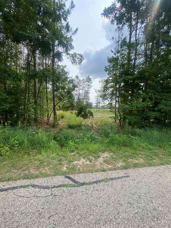 Vacant Land For Sale - 413 Maplebrooke Lane <br/> Cadillac, MI 49601