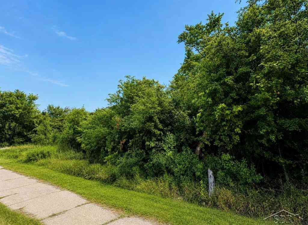 Vacant Land For Sale - 1838 S Warren Avenue <br/> Saginaw County, Saginaw, MI 48601
