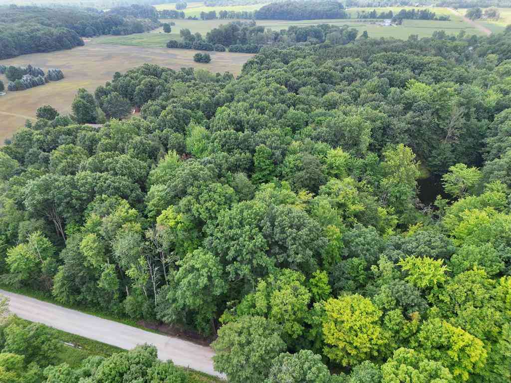 Vacant Land For Sale - 5686 19 Mile Rd Road Ne NE<br/> Cedar Springs, MI 49319