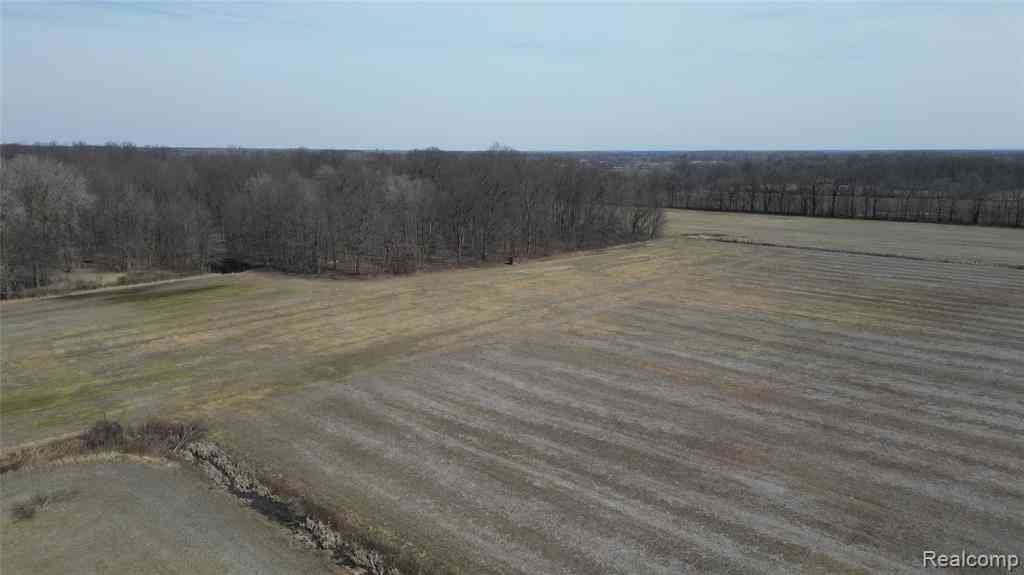 Vacant Land For Sale - LOT #12 Kunstman Road <br/> Ray, MI 48096