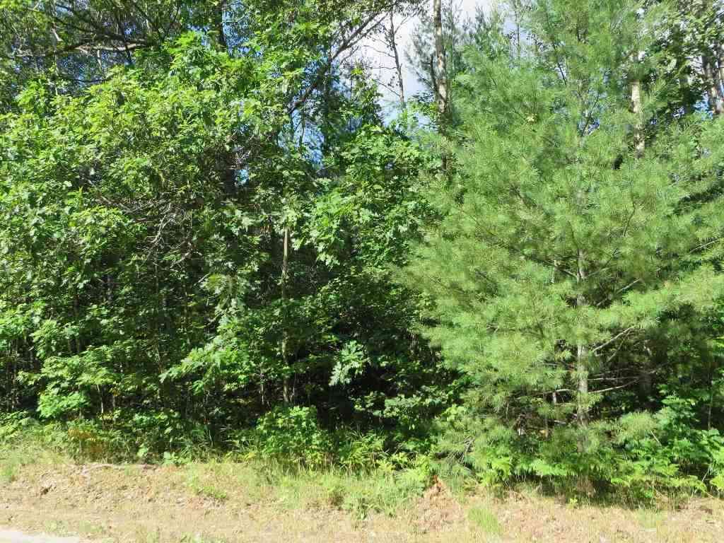 Vacant Land For Sale - 2143 E Log Lake Road <br/> Kalkaska, MI 49646