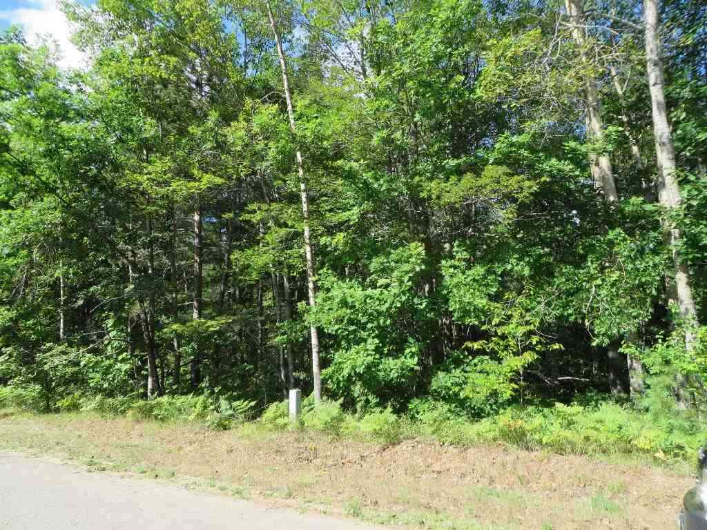 Vacant Land For Sale - 2089 E Log Lake Road <br/> Kalkaska, MI 49646