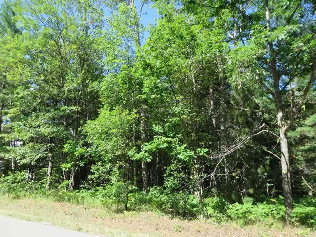 Vacant Land For Sale - 2043 E Log Lake Road <br/> Kalkaska, MI 49646