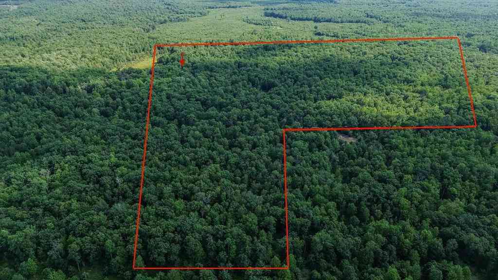 Vacant Land For Sale - 00 Center Fireline Trail Trail <br/> Beaverton, MI 48612