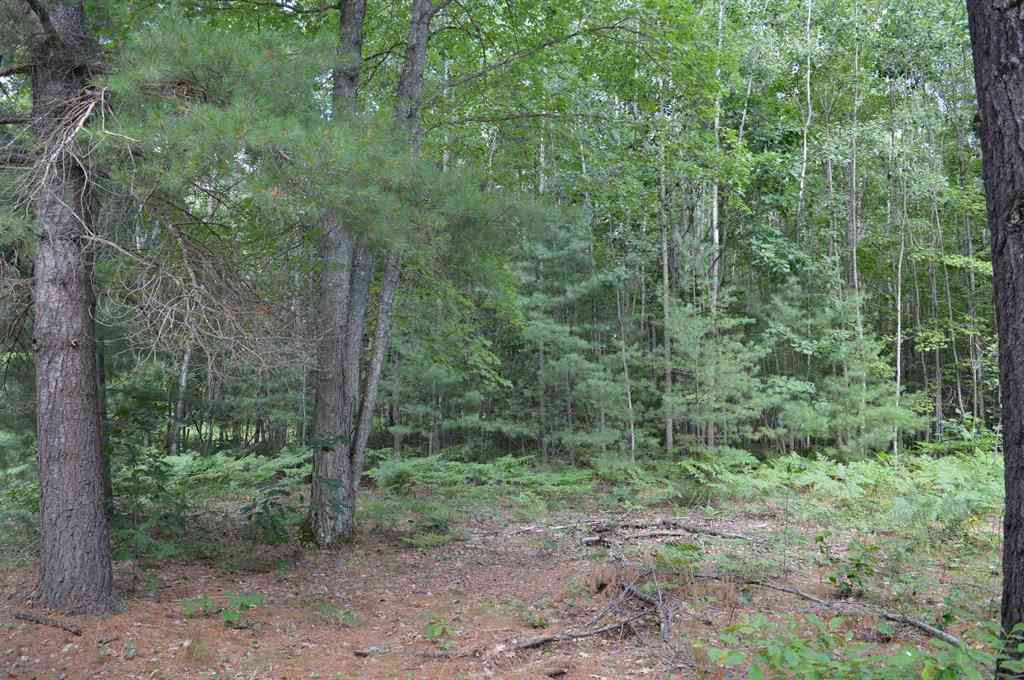 Vacant Land For Sale - 8430 NE Grass Lake Road <br/> Kalkaska, MI 49646