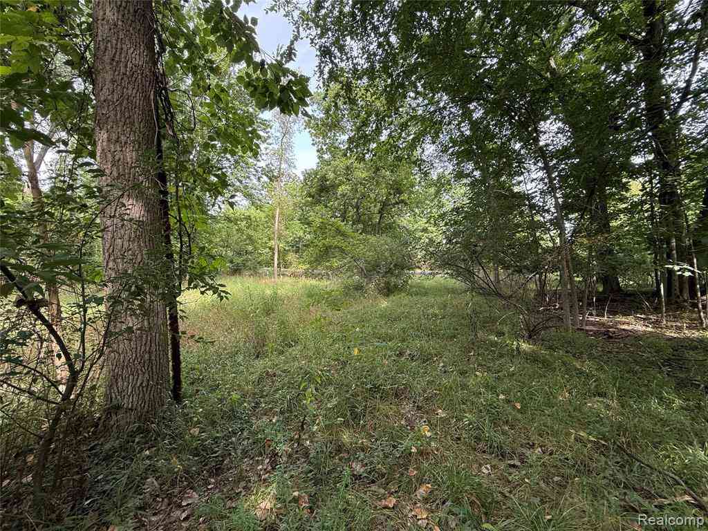 Vacant Land For Sale - LOT 66 Preserve Drive <br/> Fenton, MI 48430