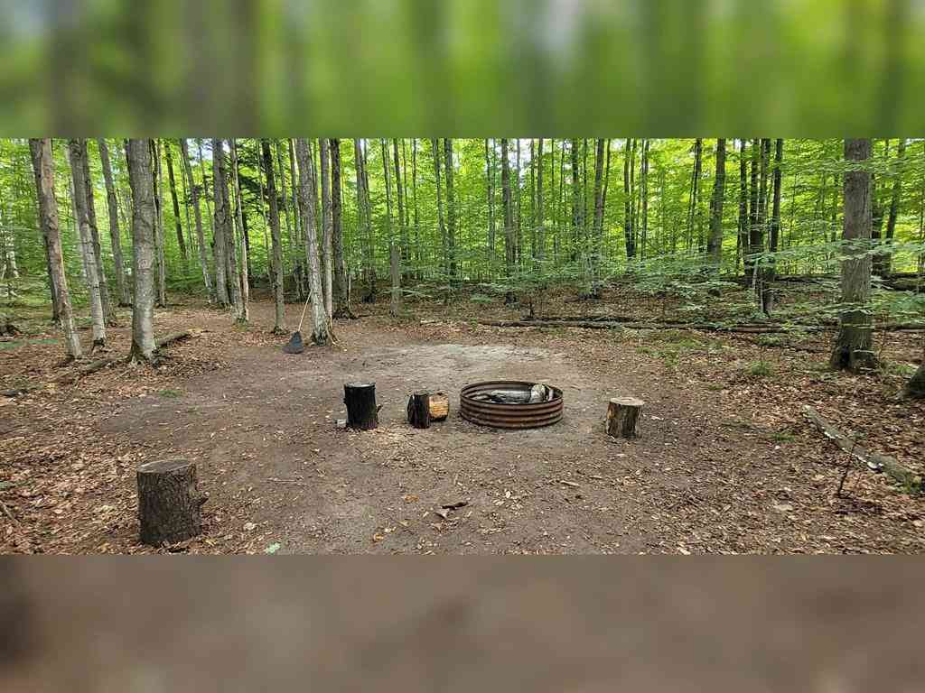 Vacant Land For Sale - TBD Way Road <br/> Rapid City, MI 49676