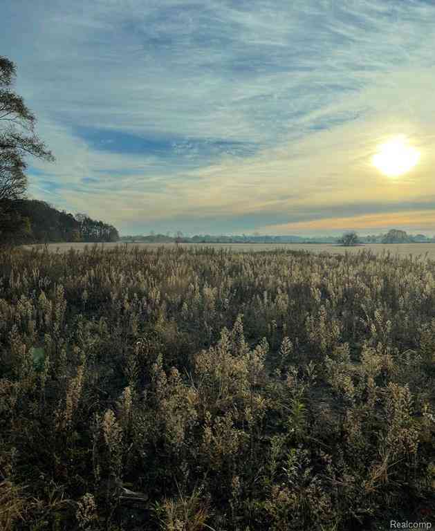 Vacant Land For Sale - 14804 Briar Hill Road <br/> Carleton, MI 48117