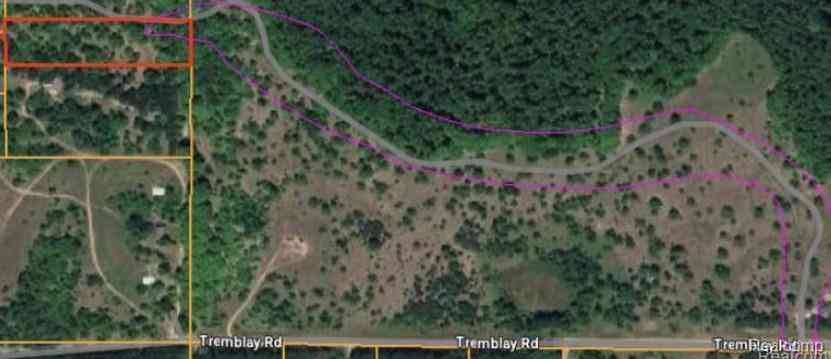 Vacant Land For Sale - V/L Tremblay Road <br/> Mancelona, MI 49659