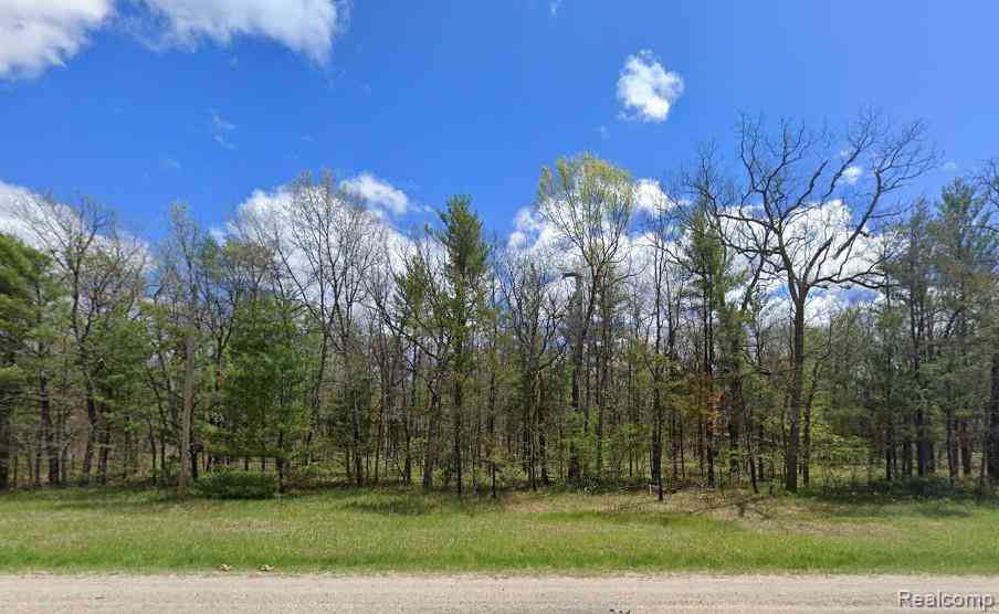 Vacant Land For Sale - V/L Parcel A Hwy 10 Nw  <br/> Lake, MI 49304