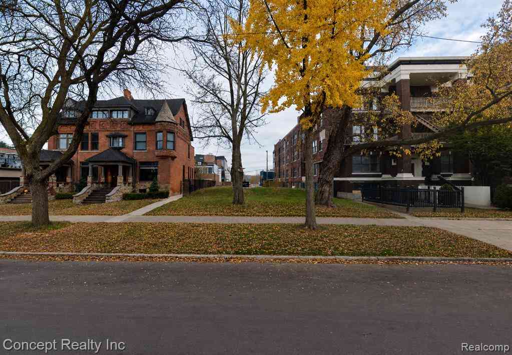 Vacant Land For Sale - 655 W Alexandrine Street <br/> Detroit, MI 48201