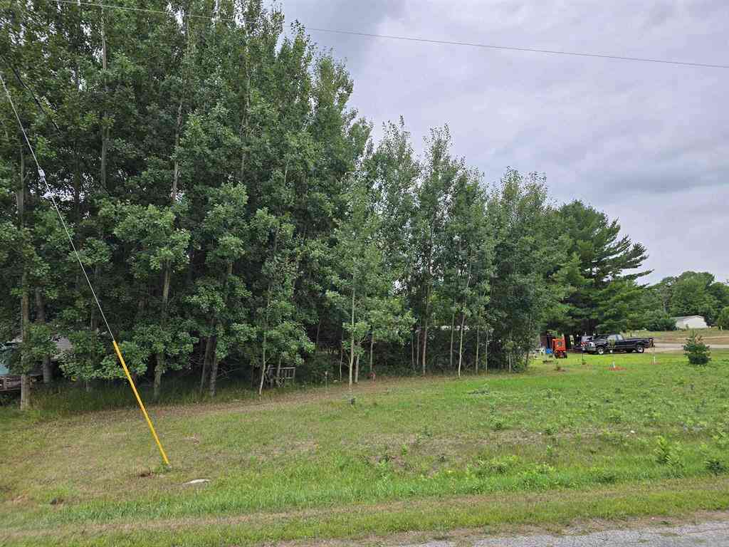 Vacant Land For Sale - 00 8th Street <br/> Bear Lake, MI 49614