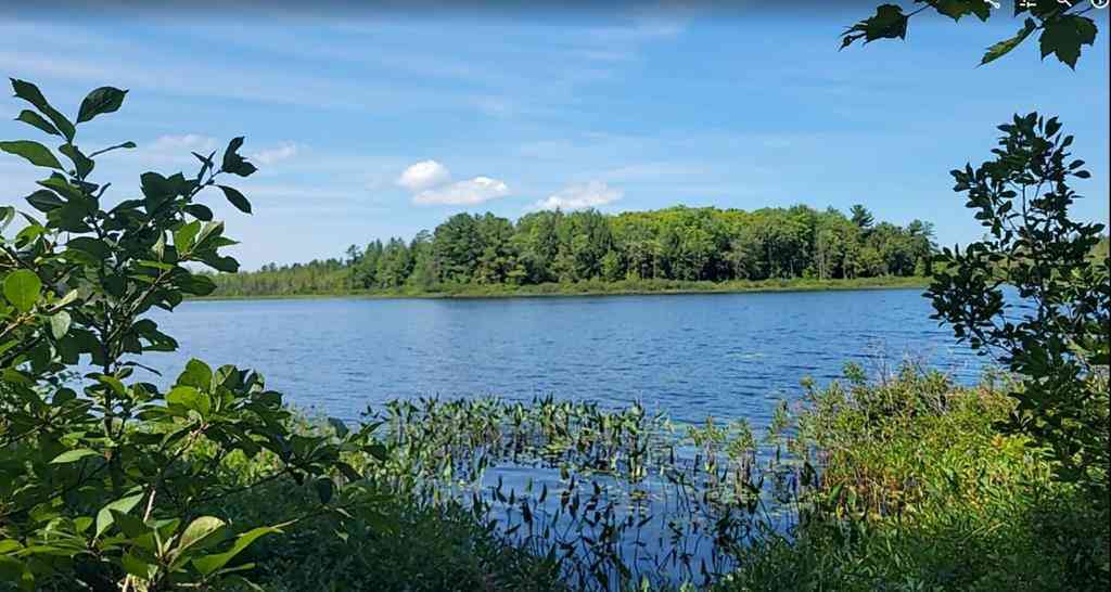 Vacant Land For Sale - 457 NE Lake Drive <br/> Kalkaska, MI 49646