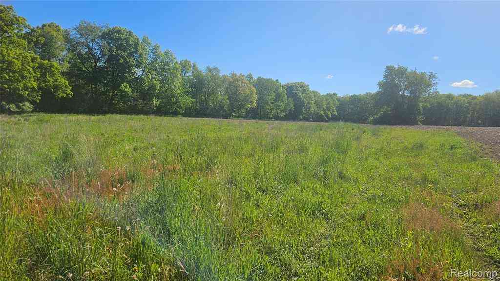 Vacant Land For Sale - 5810 Mack Rd Parcel 2-b  <br/> Howell, MI 48843