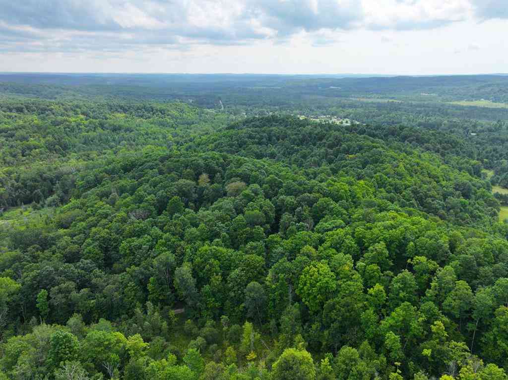 Vacant Land For Sale - V/L W20A Lambdin Road <br/> East Jordan, MI 49727