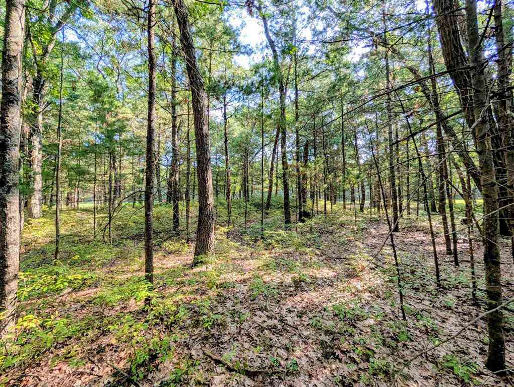 Vacant Land For Sale - N/A Huron Breeze Drive <br/> Au Gres, MI 48703