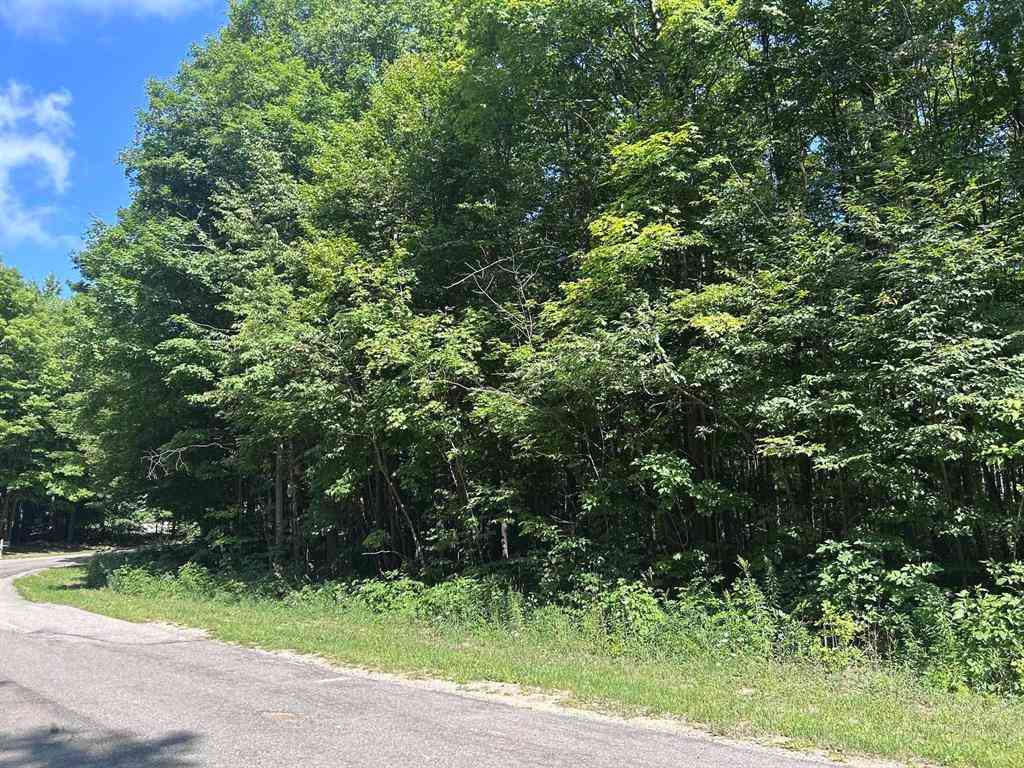 Vacant Land For Sale - Antioch Drive <br/> Wexford County, Mesick, MI 49668