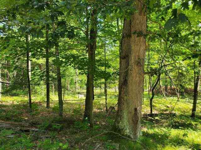 Vacant Land For Sale - Turtle Lake Road <br/> Prescott, MI 48756