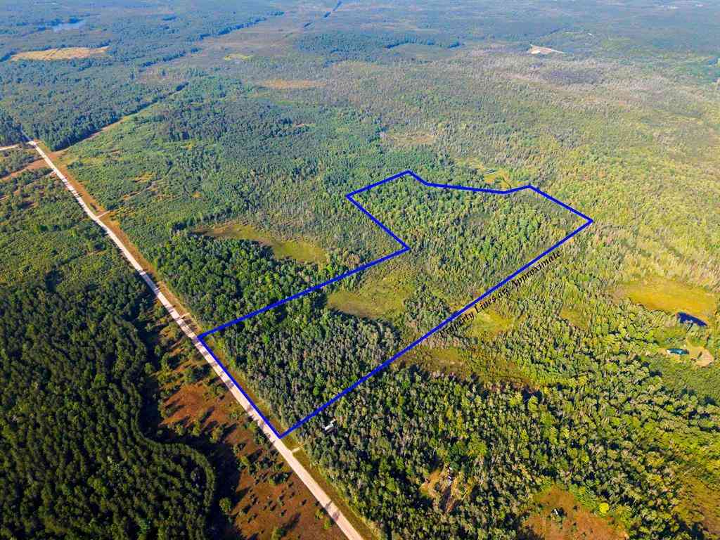 Vacant Land For Sale - 3288 NE Wheeler Lake Road <br/> Kalkaska County, Kalkaska, MI 49646