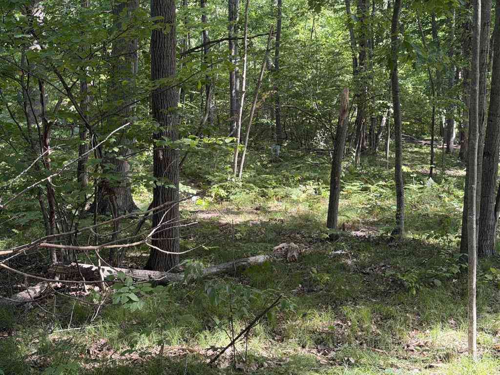 Vacant Land For Sale - 7785 Arrowhead Drive <br/> Isabella County, Weidman, MI 48893