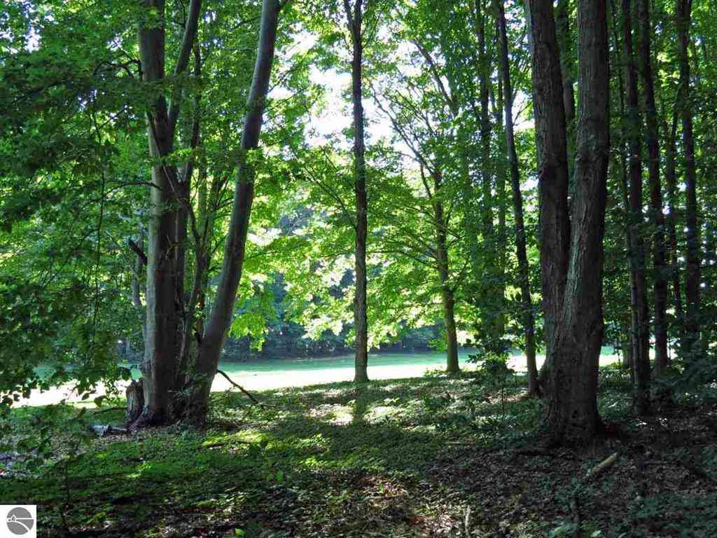 Vacant Land For Sale - 000-UNIT 2 Mountain Woods Court <br/> Thompsonville, MI 49683