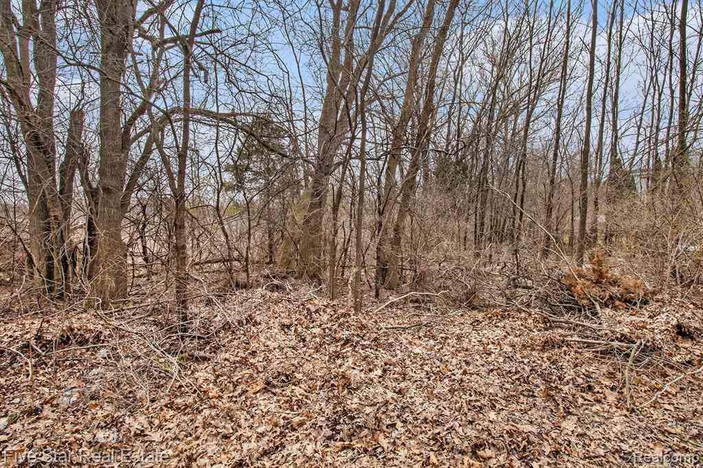 Vacant Land For Sale - 0000 Dickert Street <br/> Oakland County, Commerce Twp, MI 48382