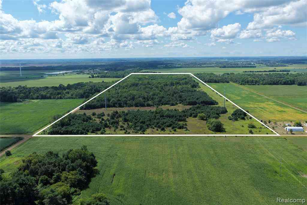 Vacant Land For Sale - 000 Parisville Road <br/> Sanilac County, Minden City, MI 48456