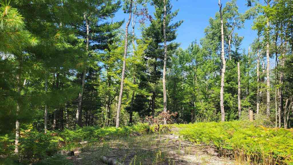 Vacant Land For Sale - 14542 Shoreline Drive <br/> Cheboygan County, Wolverine, MI 49799