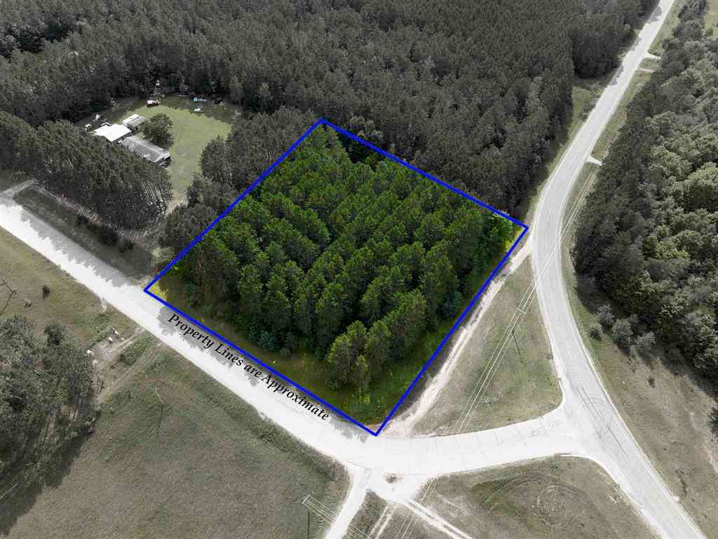 Vacant Land For Sale - 0000 NW Dundas Road <br/> Kalkaska County, Alden, MI 49612
