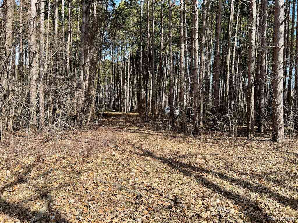 Vacant Land For Sale - 9047 Pineview River Drive <br/> Genesee County, Linden, MI 48451
