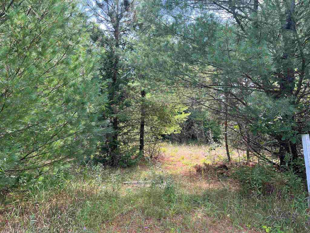 Vacant Land For Sale - Cedar Lake Road <br/> Alcona County, Greenbush, MI 48738