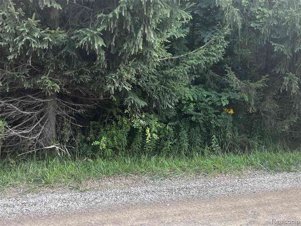 Vacant Land For Sale - 01 Jones Road <br/> Lapeer County, North Branch, MI 48461