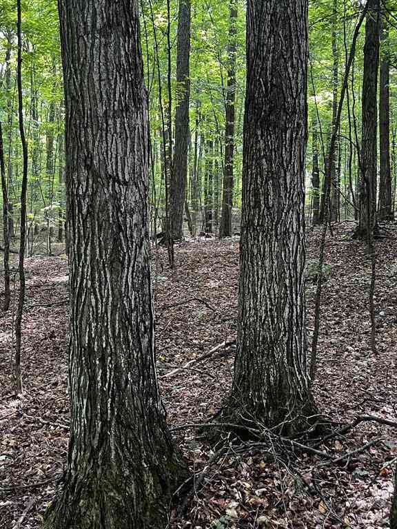 Vacant Land For Sale - 7745 Kingsley Road <br/> Grand Traverse County, Kingsley, MI 49696