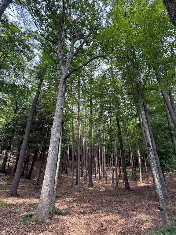 Vacant Land For Sale - 4731 Albert Courtade Road <br/> Traverse City, MI 49696