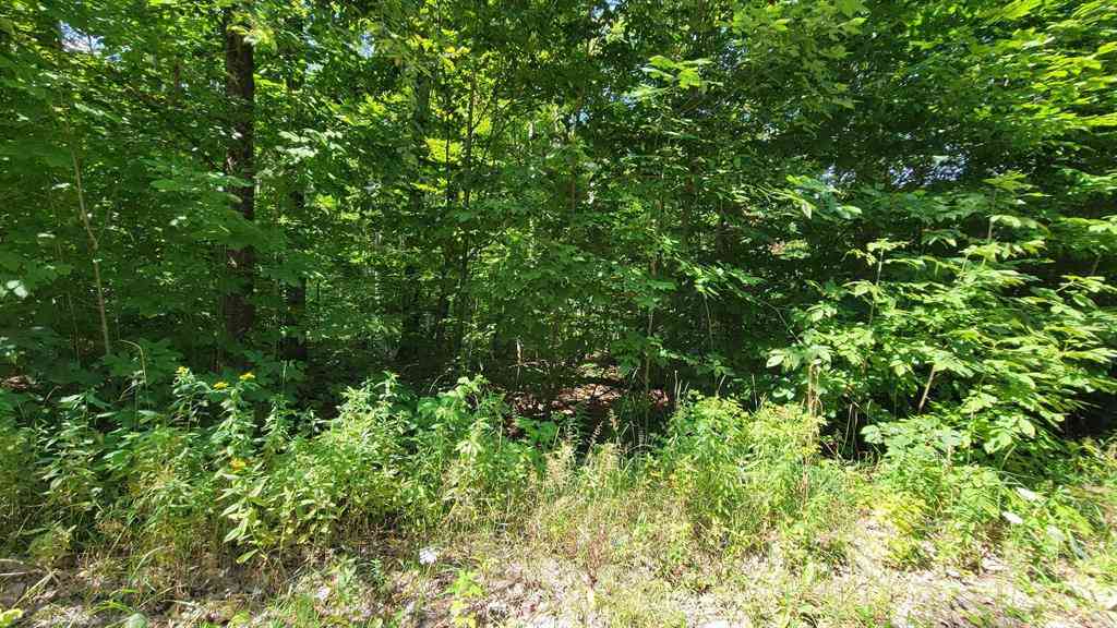 Vacant Land For Sale - VL Beechnut Lane <br/> Cheboygan County, Wolverine, MI 49799