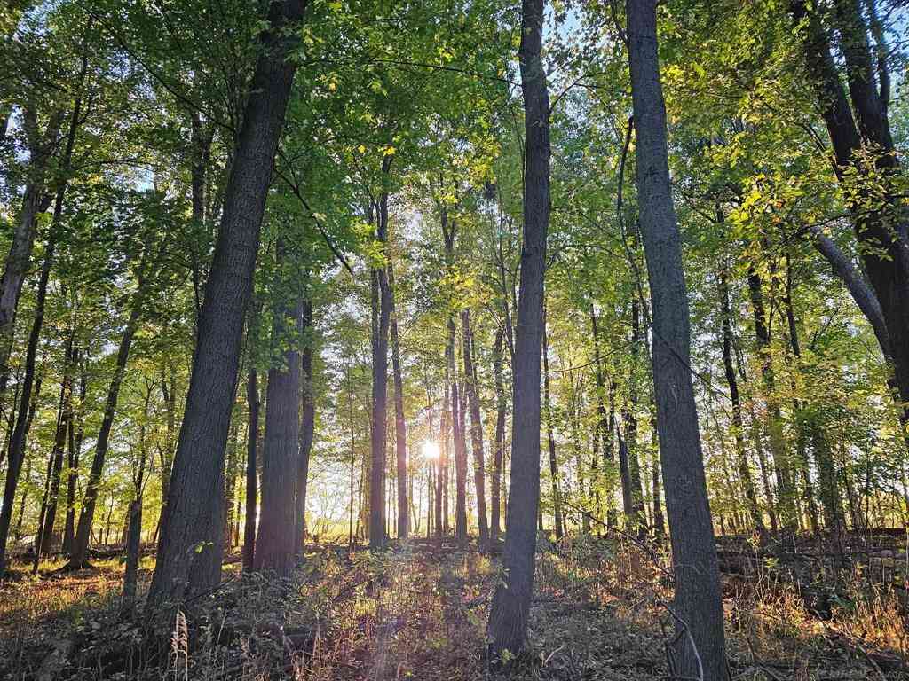 Vacant Land For Sale - 00 E Kilgore Road <br/> Sanilac County, Croswell, MI 48422