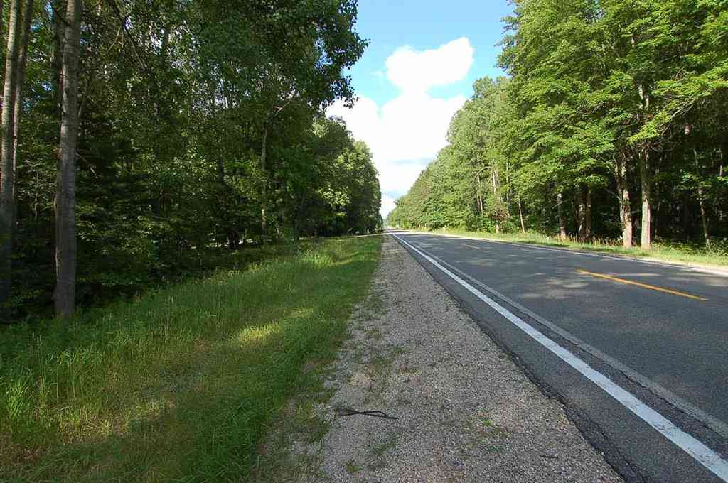 Vacant Land For Sale - 6800 S M-37  <br/> Wexford County, Harrietta, MI 49638