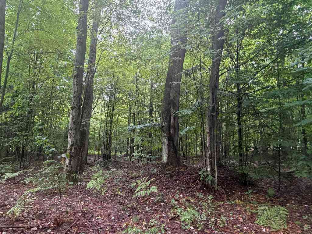 Vacant Land For Sale - Demerly Road <br/> Benzonia, MI 49616
