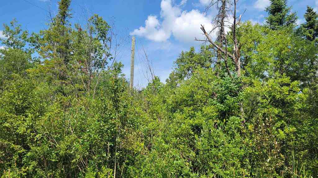 Vacant Land For Sale - 15225 Lakeview Drive <br/> Cheboygan County, Wolverine, MI 49799