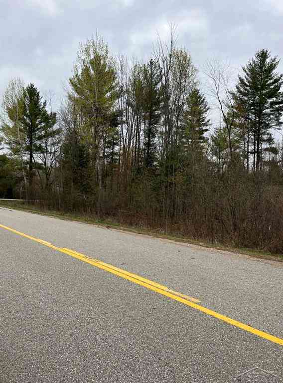 Vacant Land For Sale - Beech Street <br/> Gladwin County, Gladwin, MI 48624