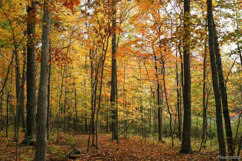 Vacant Land For Sale - 5555 Mast Road <br/> Washtenaw County, Dexter, MI 48130