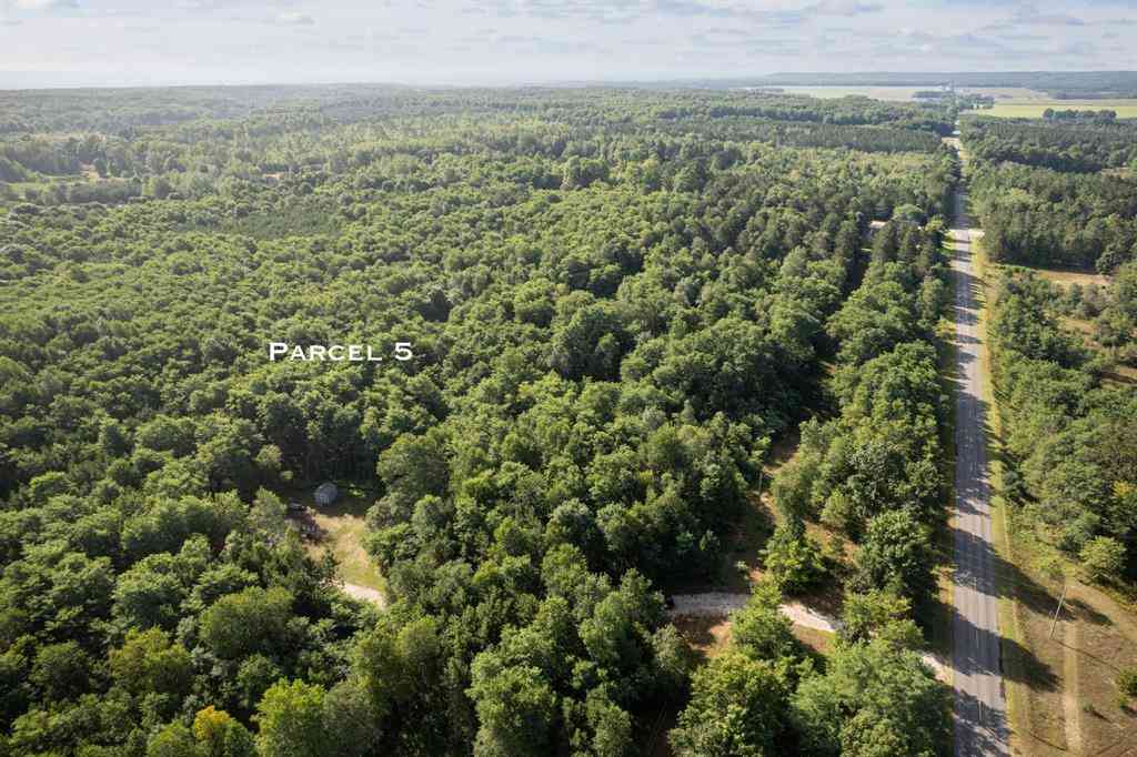 Vacant Land For Sale - 11241 Marilla Road <br/> Manistee County, Copemish, MI 49625