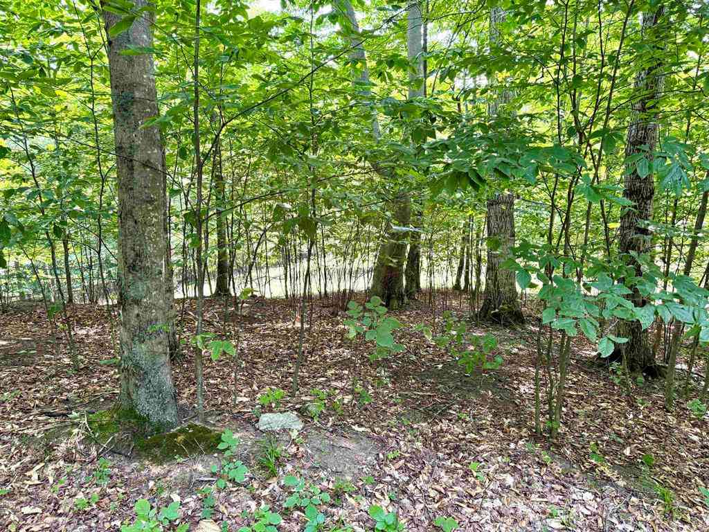 Vacant Land For Sale - 15 S Mistys Trail <br/> Leelanau County, Empire, MI 49630