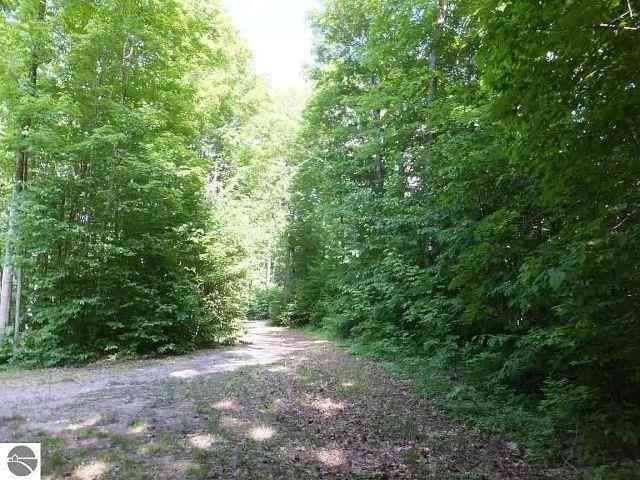 Vacant Land For Sale - 2228 Northwoods Drive <br/> Benzonia, MI 49616